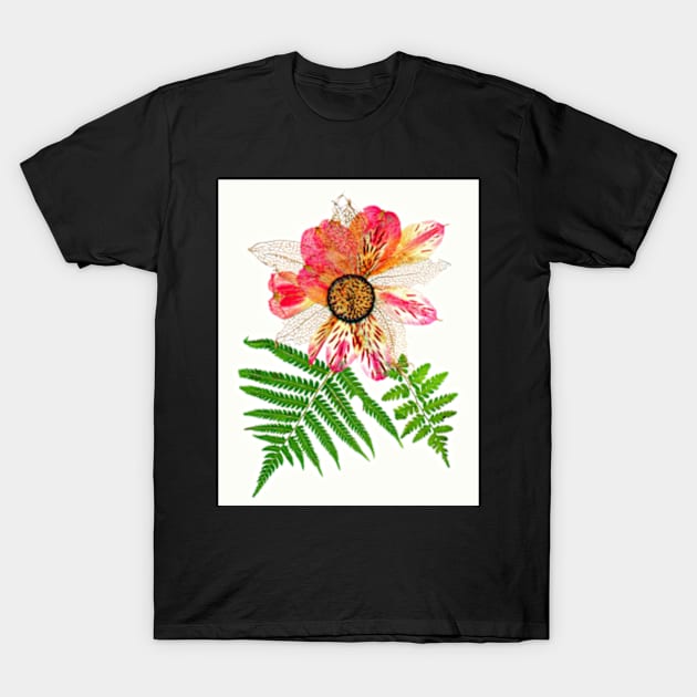 Pink Alstroemeria Pressed Flower Art Print Dried Flowers Poster Gift For Women T-Shirt by ZiggyPrint